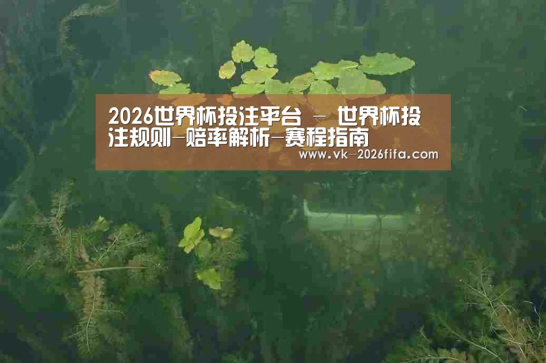 案例展示三