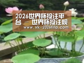 产品名称一