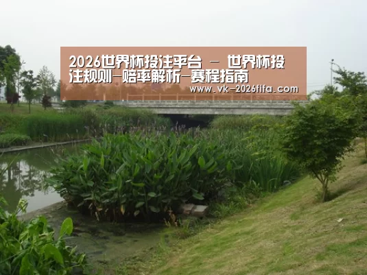 案例展示四