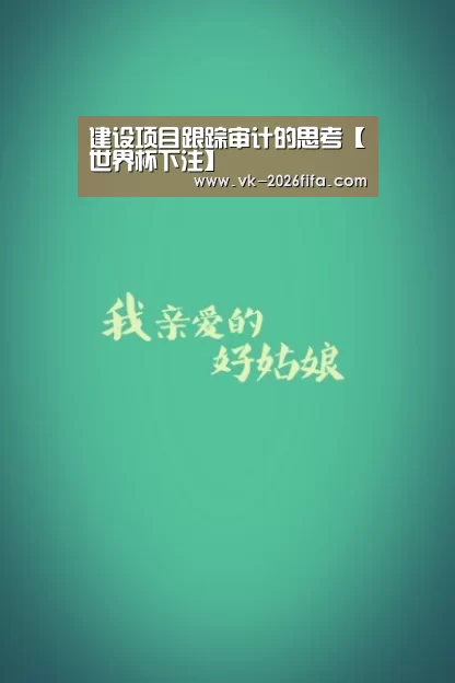 建设项目跟踪审计的思考【世界杯下注】(图2) 世界杯下注