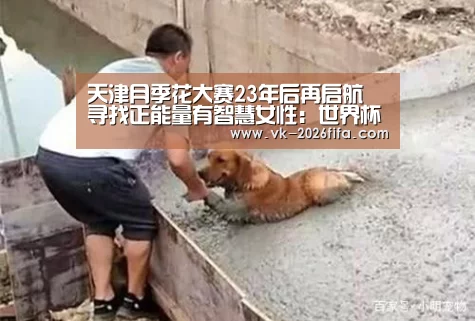 天津月季花大赛23年后再启航 寻找正能量有智慧女性:世界杯下注(图3) 世界杯投注网