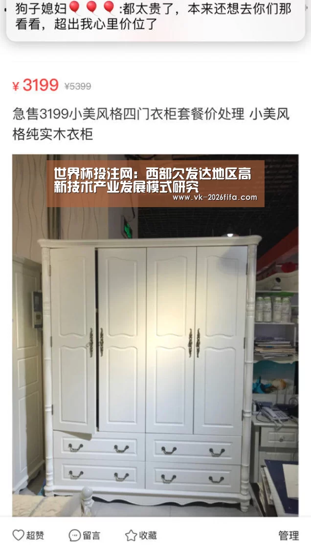 世界杯投注网:西部欠发达地区高新技术产业发展模式研究(图3) 世界杯下注平台